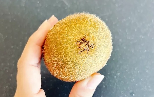 キウイフルーツの写真（撮影：キジカク）