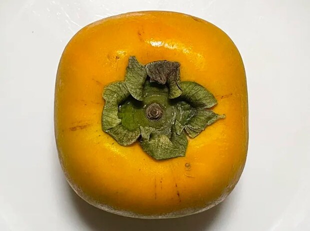 柿の写真（撮影：grape編集部）