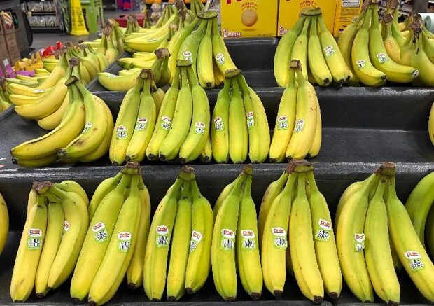 バナナの写真（撮影：grape編集部）