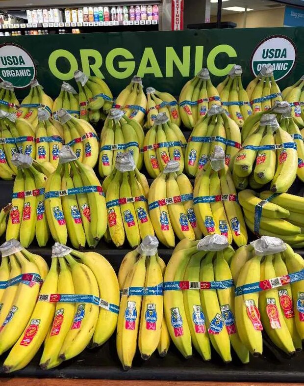 バナナの写真（撮影：grape編集部）