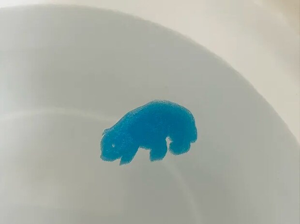 ダイソー『水で変身！魔法のカプセル』の写真（撮影：grape編集部）