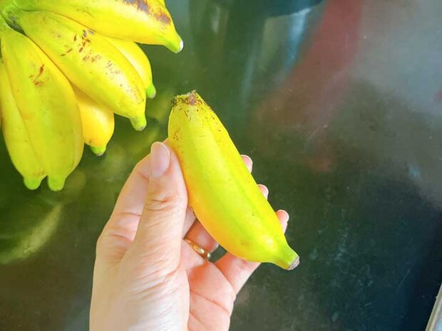 バナナ（撮影：grape編集部）