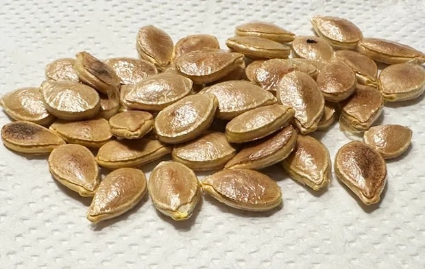 『カボチャの種スナック』を作る写真（撮影：エニママ）