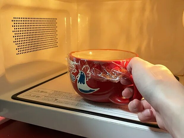 レンジの写真（撮影：grape編集部）