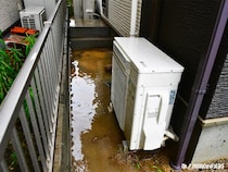 「意外と油断しがちなのは…」　ガーデニング会社が注意を呼びかけ【強風対策】