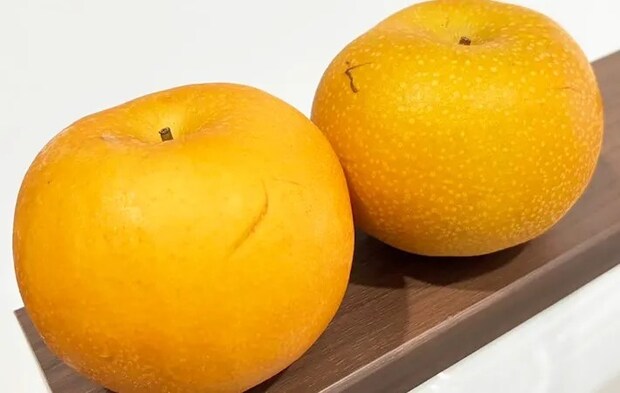 梨の写真（撮影：キジカク）