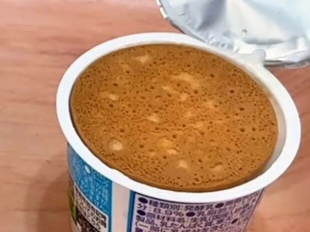 ヨーグルトにビスケットをのせて…　手作り『チーズケーキ』に「大変身すぎ！」