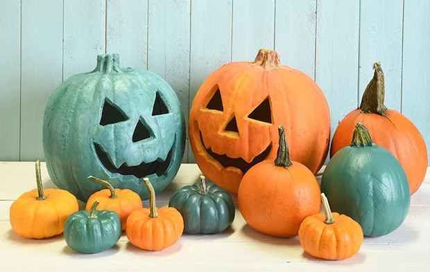 オレンジ色と青緑色のカボチャの写真