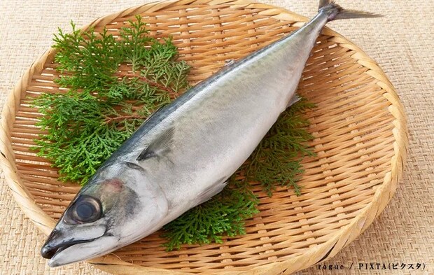 サバの写真