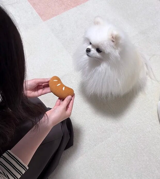 パンのオモチャを差し出す飼い主と犬の写真