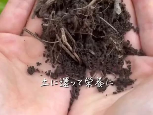 抜いた雑草の使い道に反響　投稿に「目からウロコ」「発想がすごい」