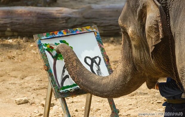 絵を描くゾウ