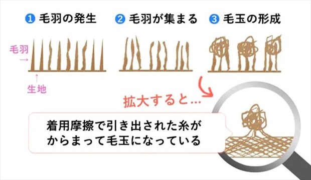 毛玉になる原因の画像