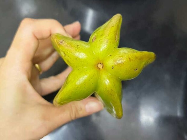 スターフルーツ（撮影：grape編集部）