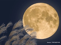 2025年最大の『スーパームーン』がいよいよ！　特別な満月を眺めよう