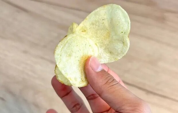 ポテトチップスを持っている写真（撮影：キジカク）
