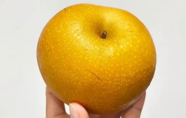 梨の写真（撮影：キジカク）