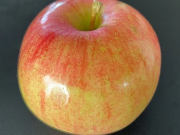 冷蔵庫に入れただけで？　リンゴの甘さに「マジで？」「今すぐやる」【保存のコツ4選】