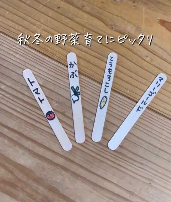 イラストを描いたアイスの棒