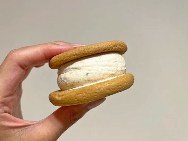 『不二家　カントリーマアムアイスサンド』の写真（撮影：grape編集部）