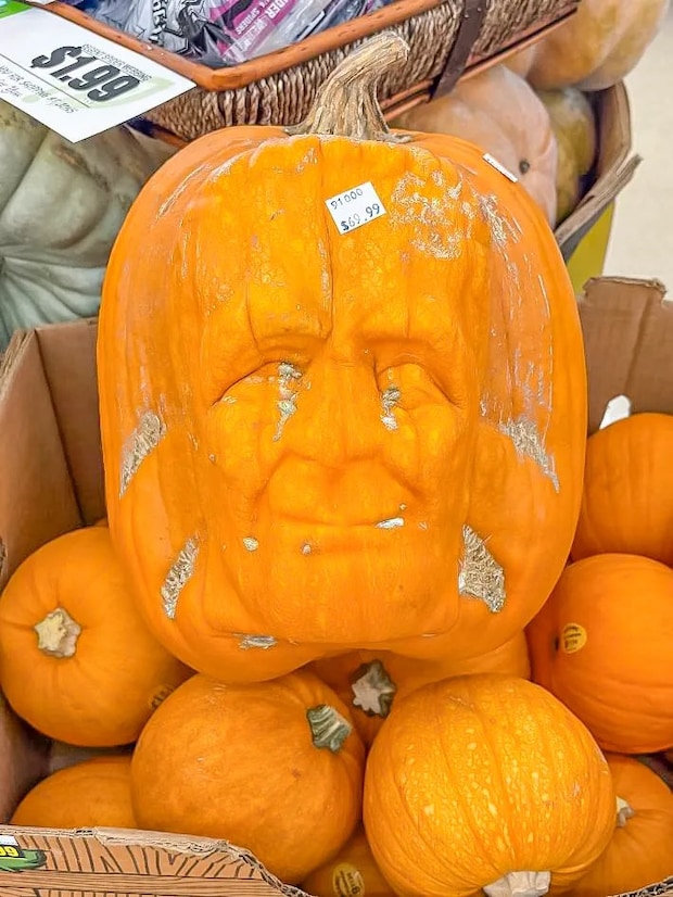 顔の形をしたカボチャの写真（撮影：grape編集部）