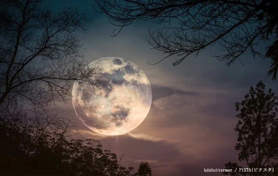 満月の写真