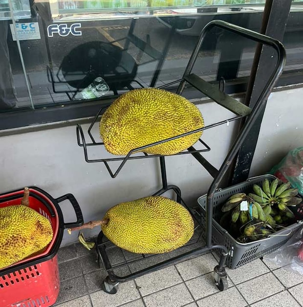 ジャックフルーツ（撮影：grape編集部）