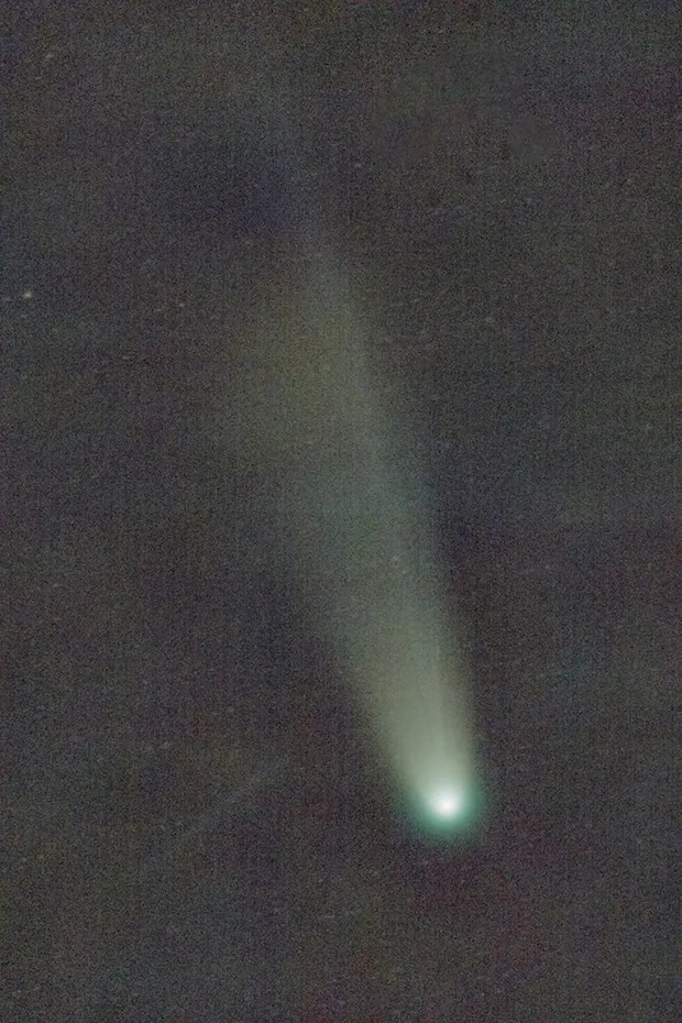 高校生が撮影したレモン彗星の写真