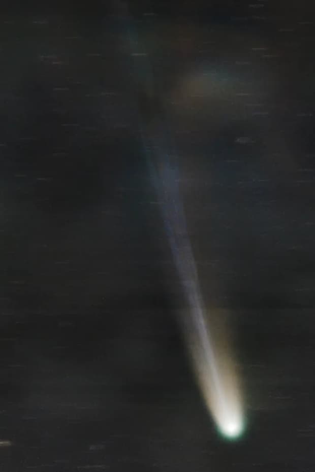 高校生が撮影したレモン彗星の写真