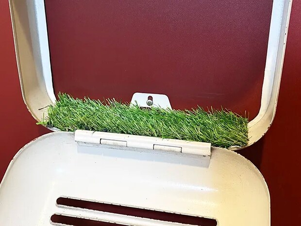 ダイソーの『人工芝』を活用した画像（撮影：grape編集部）