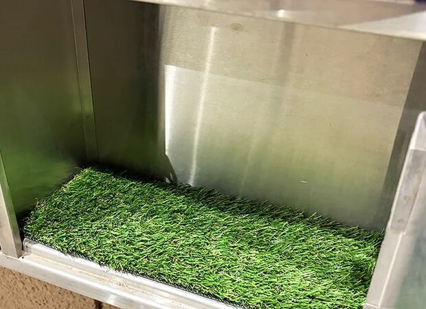 ダイソーの『人工芝』を活用した画像（撮影：grape編集部）