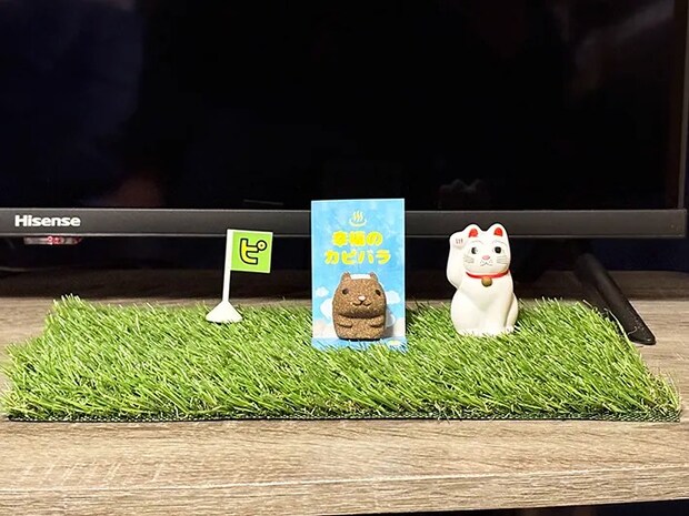 ダイソーの『人工芝』を活用した画像（撮影：grape編集部）