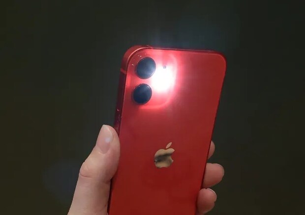 スマホのライトの写真（撮影：grape編集部）