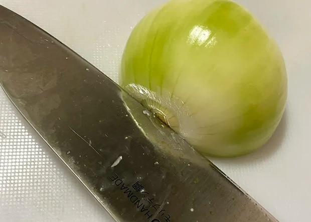 タマネギの写真（撮影：grape編集部）