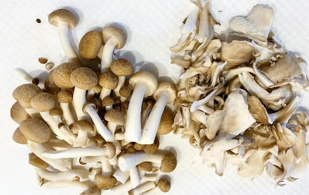 『きのこと鶏の味噌バター絶品汁』を作る写真（撮影：エニママ）