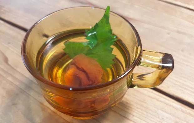 『梅しそ紅茶』を作る写真（撮影：エニママ）
