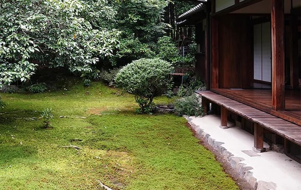 縁側と苔の写真
