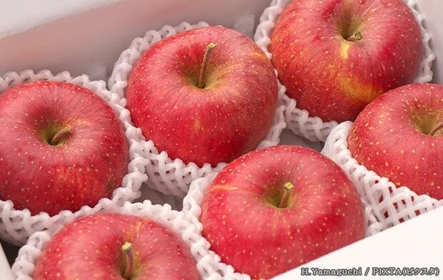 フルーツネットのついたリンゴの写真