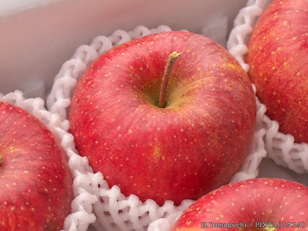 フルーツネットはつけっぱなしでもいい？　メーカーが回答【保存時の疑問】