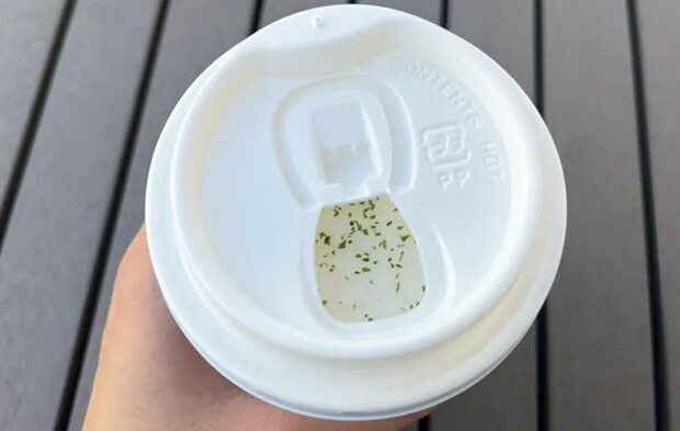 『トリュフ スープチーノ』の写真（撮影：grape編集部）