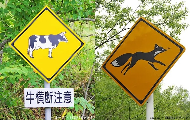 北海道の動物飛び出し注意の看板の写真