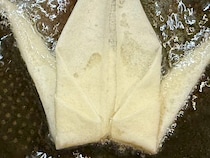 「天才か」「今にも飛び立ちそう」　余った春巻きの皮で作ったものが？