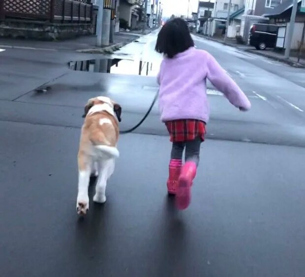 5年半前の愛犬と娘さんの写真