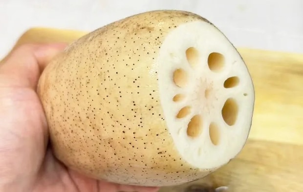 レンコンの写真（撮影：キジカク）