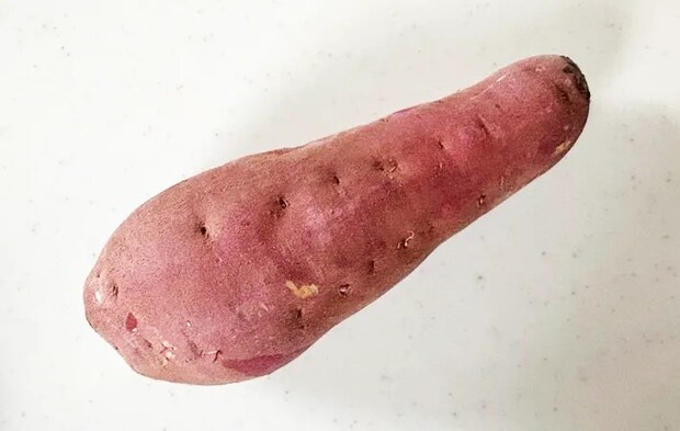 さつまいもの写真（撮影：エニママ）