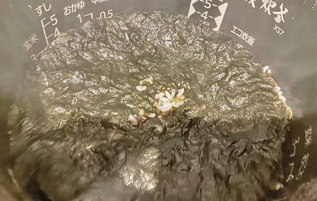 『海苔の炊き込みごはん』を作る写真（撮影：エニママ）