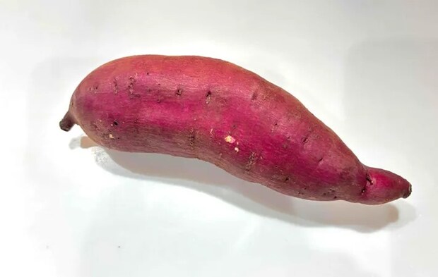 『サツマイモ』の写真（撮影：エニママ）