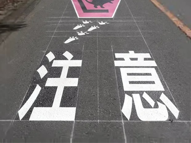 沖縄の道路にある『動物注意』の標識、描かれているのは…？