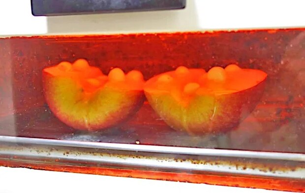 『アイスのせ焼きりんご』を作る写真（撮影：エニママ）