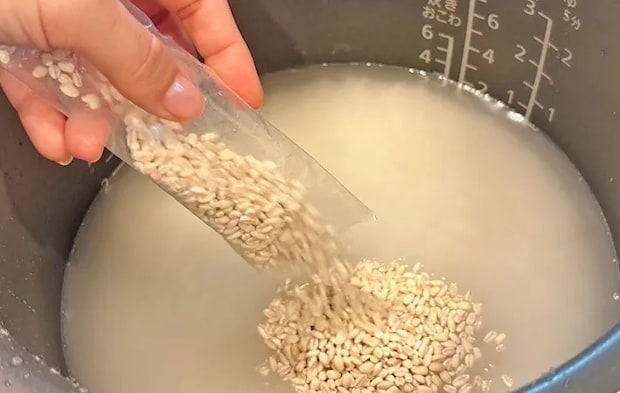 『パラパラもち麦炒飯』を作る写真（撮影：キジカク）